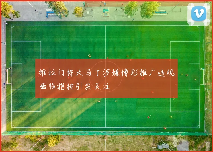 维拉门将大马丁涉嫌博彩推广违规面临指控引发关注
