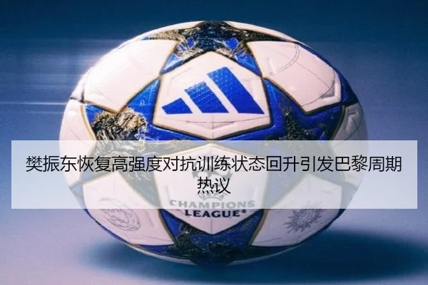 樊振东恢复高强度对抗训练状态回升引发巴黎周期热议
